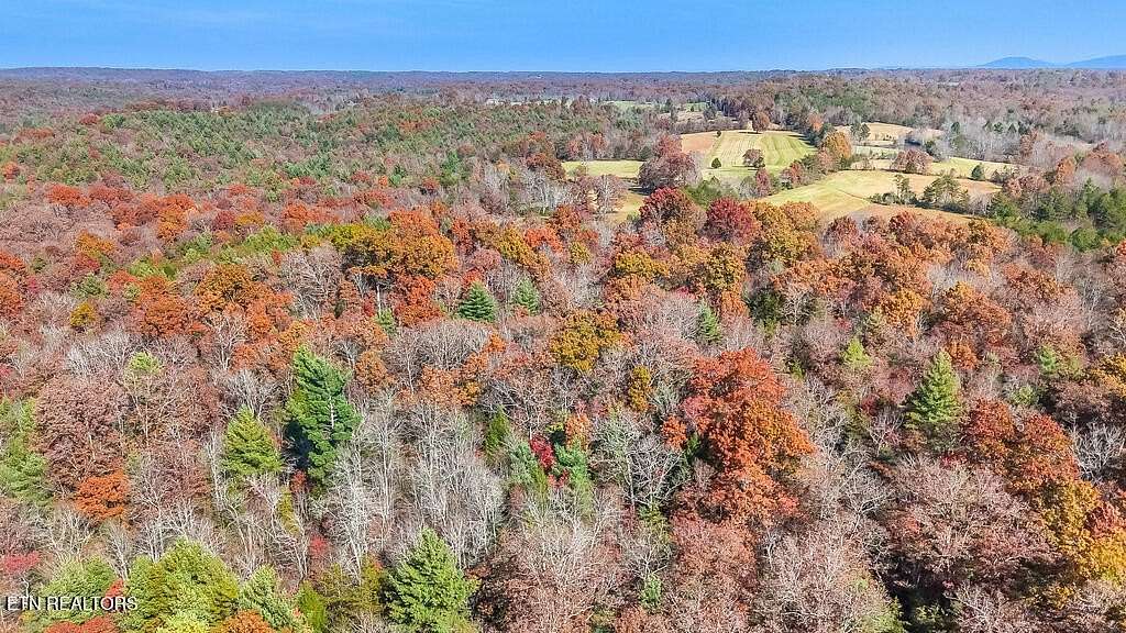 12.5 Acres of Recreational Land for Sale in Deer Lodge, Tennessee