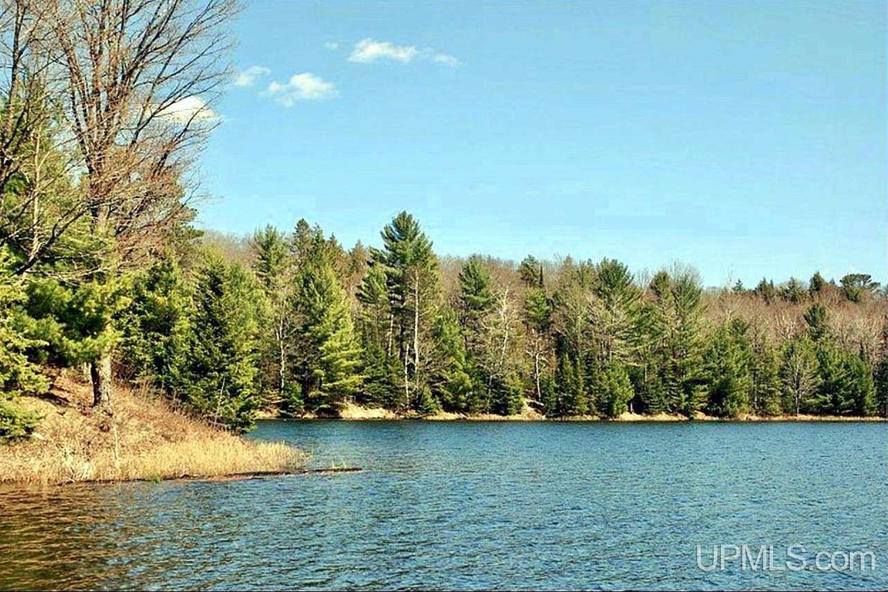 50.3 Acres of Recreational Land for Sale in Iron River, Michigan