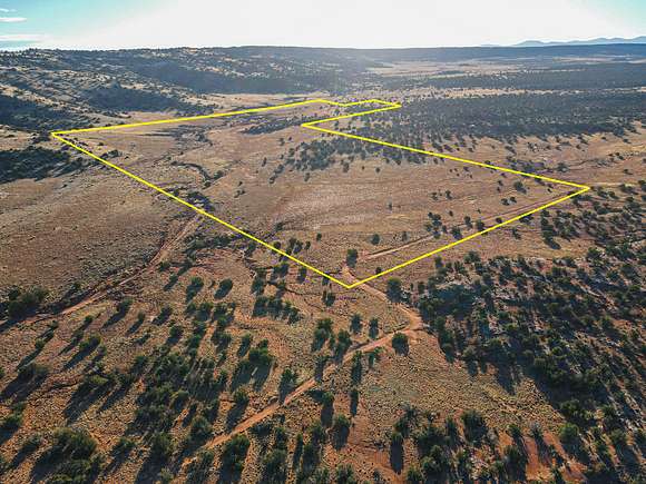 77.2 Acres of Recreational Land for Sale in Concho, Arizona