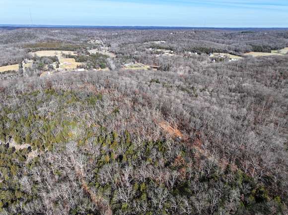 29 Acres of Recreational Land for Sale in Hillsboro, Missouri