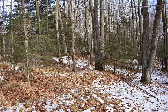 13.6 Acres of Recreational Land for Sale in Laona, Wisconsin