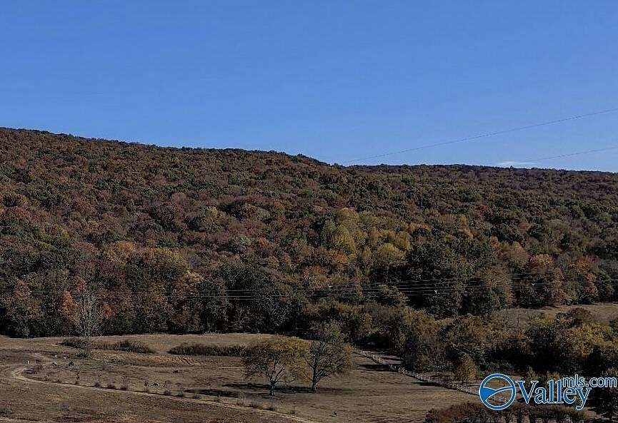 41.3 Acres of Recreational Land for Sale in Gurley, Alabama