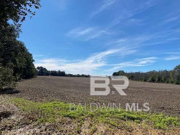 9.5 Acres of Land for Sale in Fairhope, Alabama
