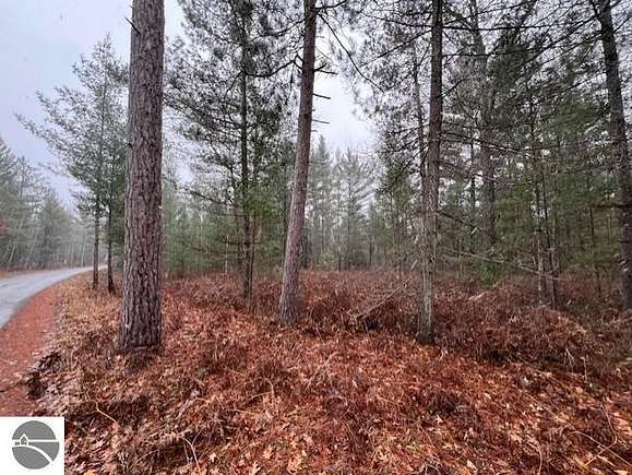21.2 Acres of Recreational Land for Sale in East Tawas, Michigan