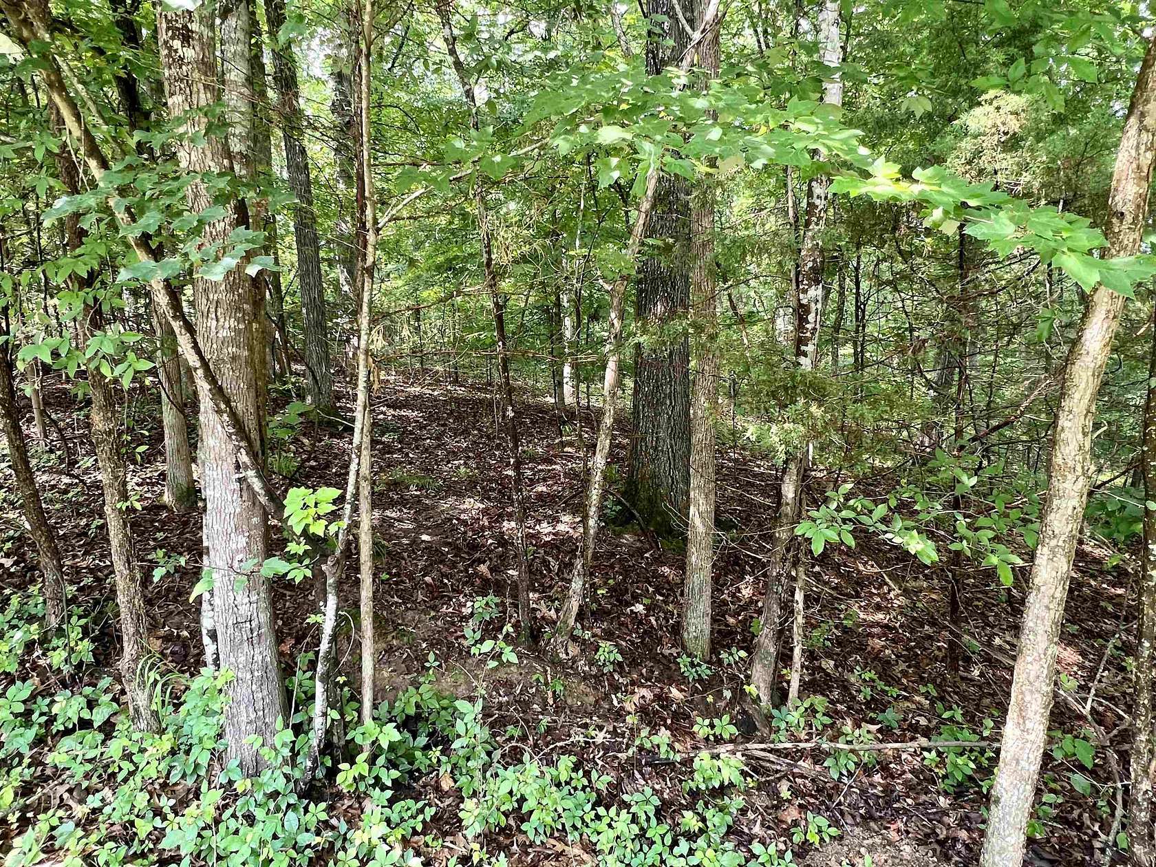 0.36 Acres of Residential Land for Sale in Middleton, Tennessee