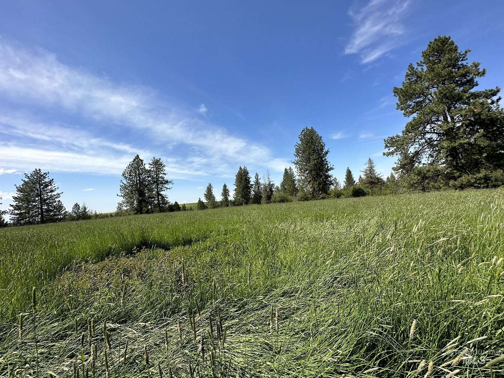 28 Acres of Recreational Land for Sale in Grangeville, Idaho