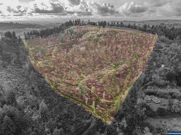 47 Acres of Land for Sale in Turner, Oregon