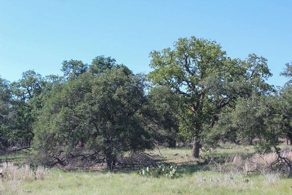 8.8 Acres of Residential Land for Sale in Harper, Texas