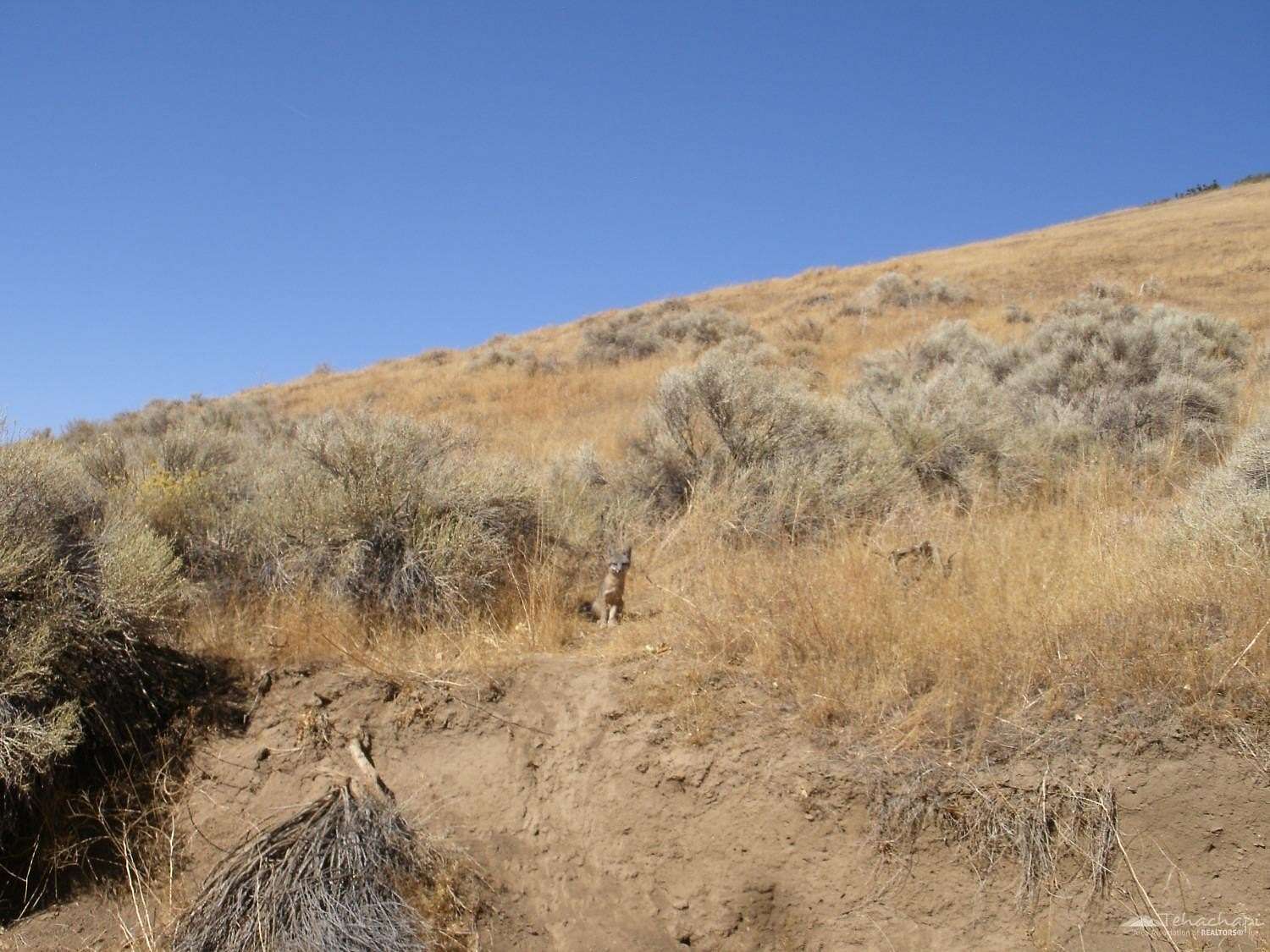 2.42 Acres of Land for Sale in Tehachapi, California