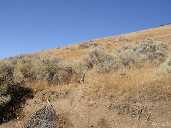2.42 Acres of Land for Sale in Tehachapi, California