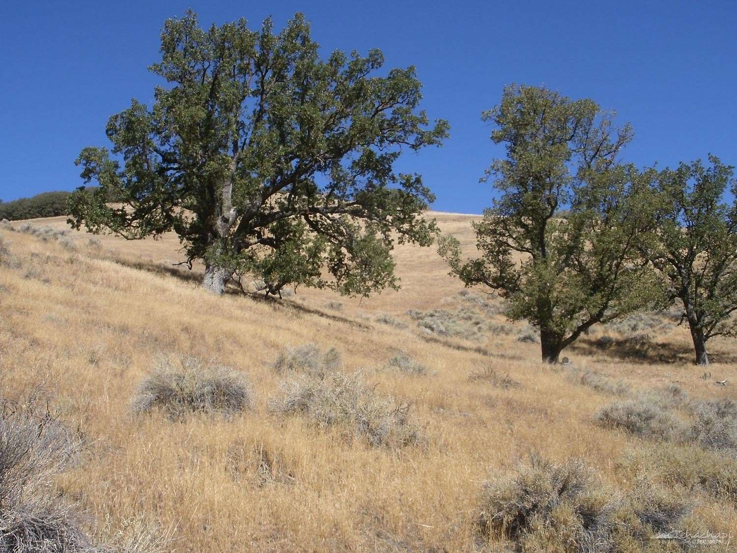3 Acres of Land for Sale in Tehachapi, California
