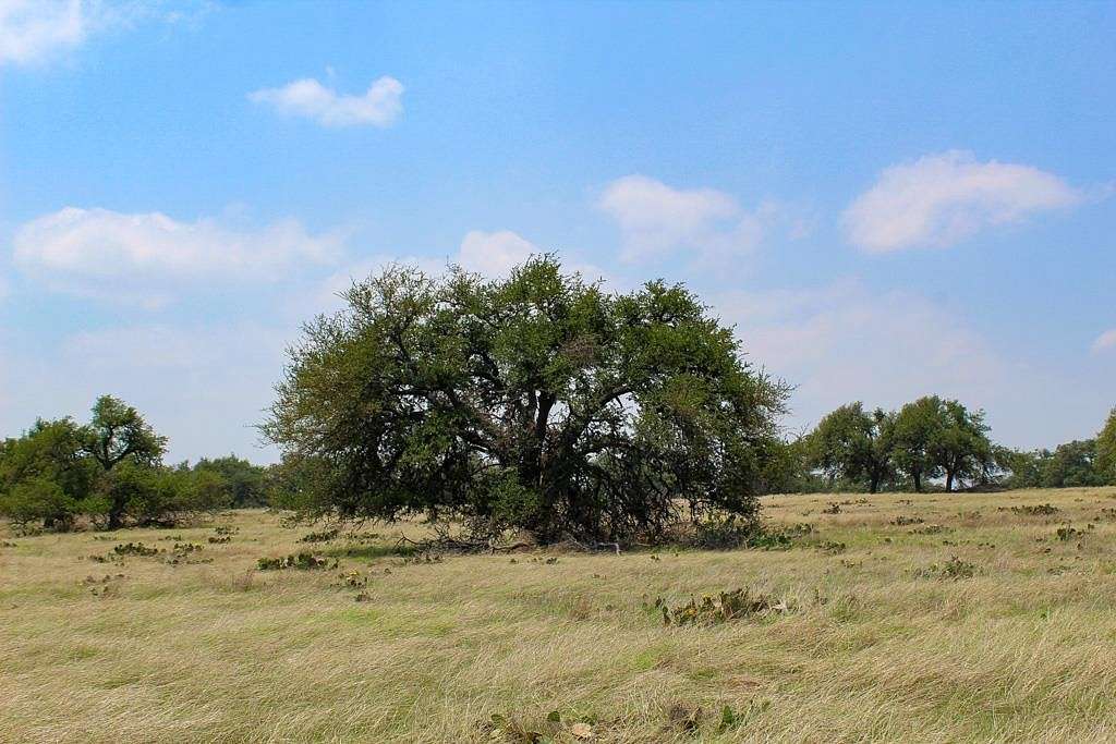 5.7 Acres of Residential Land for Sale in Harper, Texas