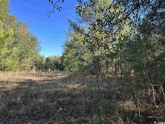 1 Acre of Commercial Land for Sale in Kingstree, South Carolina