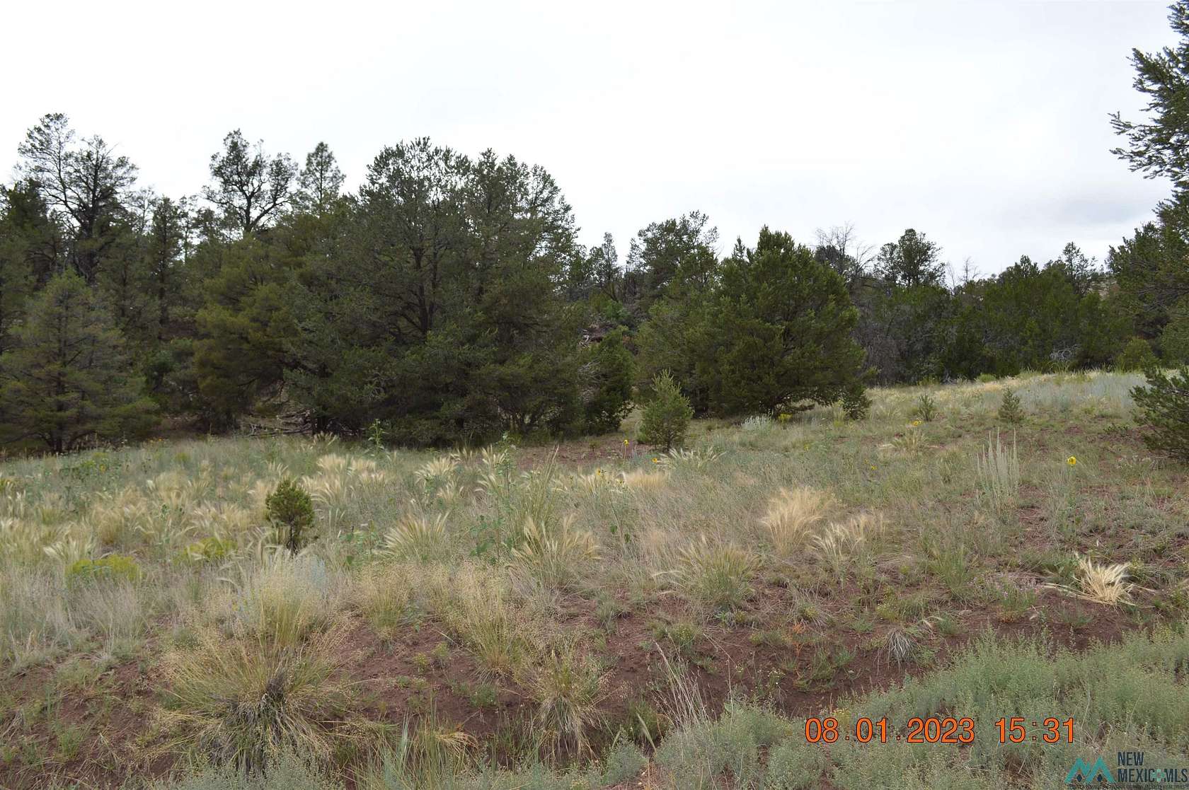 20 Acres of Land for Sale in Ramah, New Mexico