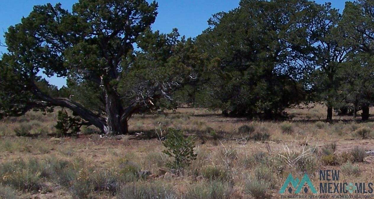 11.9 Acres of Land for Sale in Quemado, New Mexico
