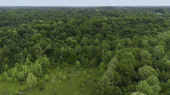 64.6 Acres of Agricultural Land for Sale in Bedford, Indiana