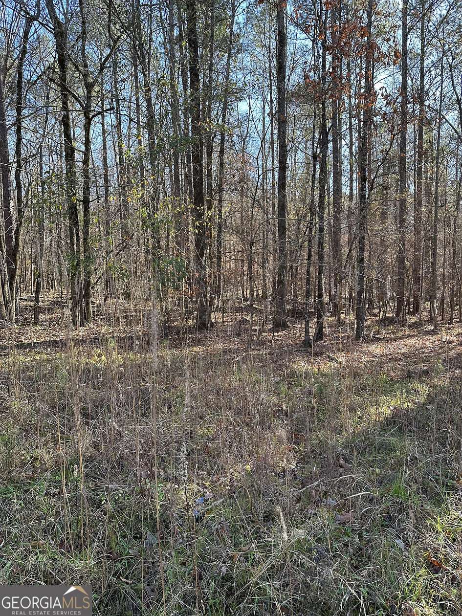 0.96 Acres of Residential Land for Sale in Buckhead, Georgia