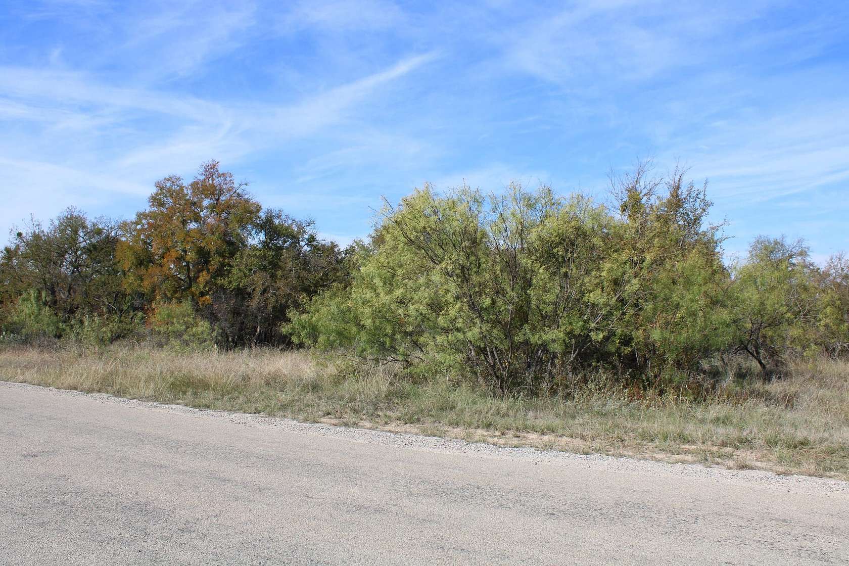 0.398 Acres of Residential Land for Sale in Brownwood, Texas