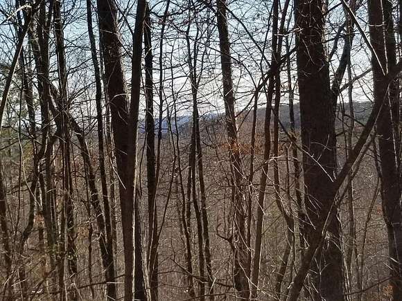 65 Acres of Recreational Land for Sale in Palmer, Tennessee