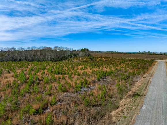 29.7 Acres of Recreational Land & Farm for Sale in Wallace, South Carolina