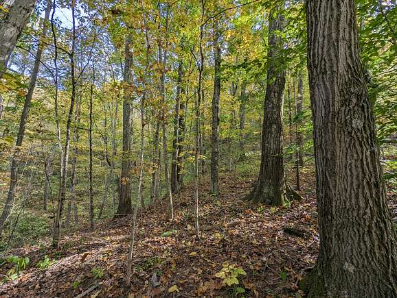 35 Acres of Recreational Land for Sale in Beallsville, Ohio