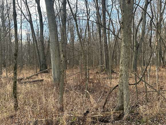40 Acres of Land for Sale in Deckerville, Michigan