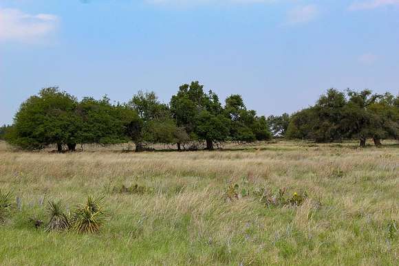 5.2 Acres of Residential Land for Sale in Harper, Texas
