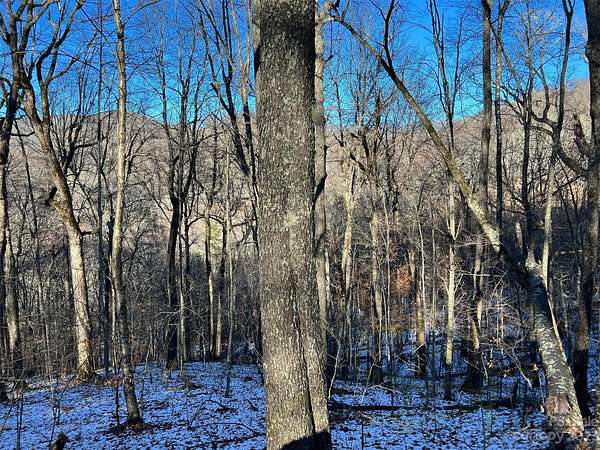 0.55 Acres of Residential Land for Sale in Mars Hill, North Carolina