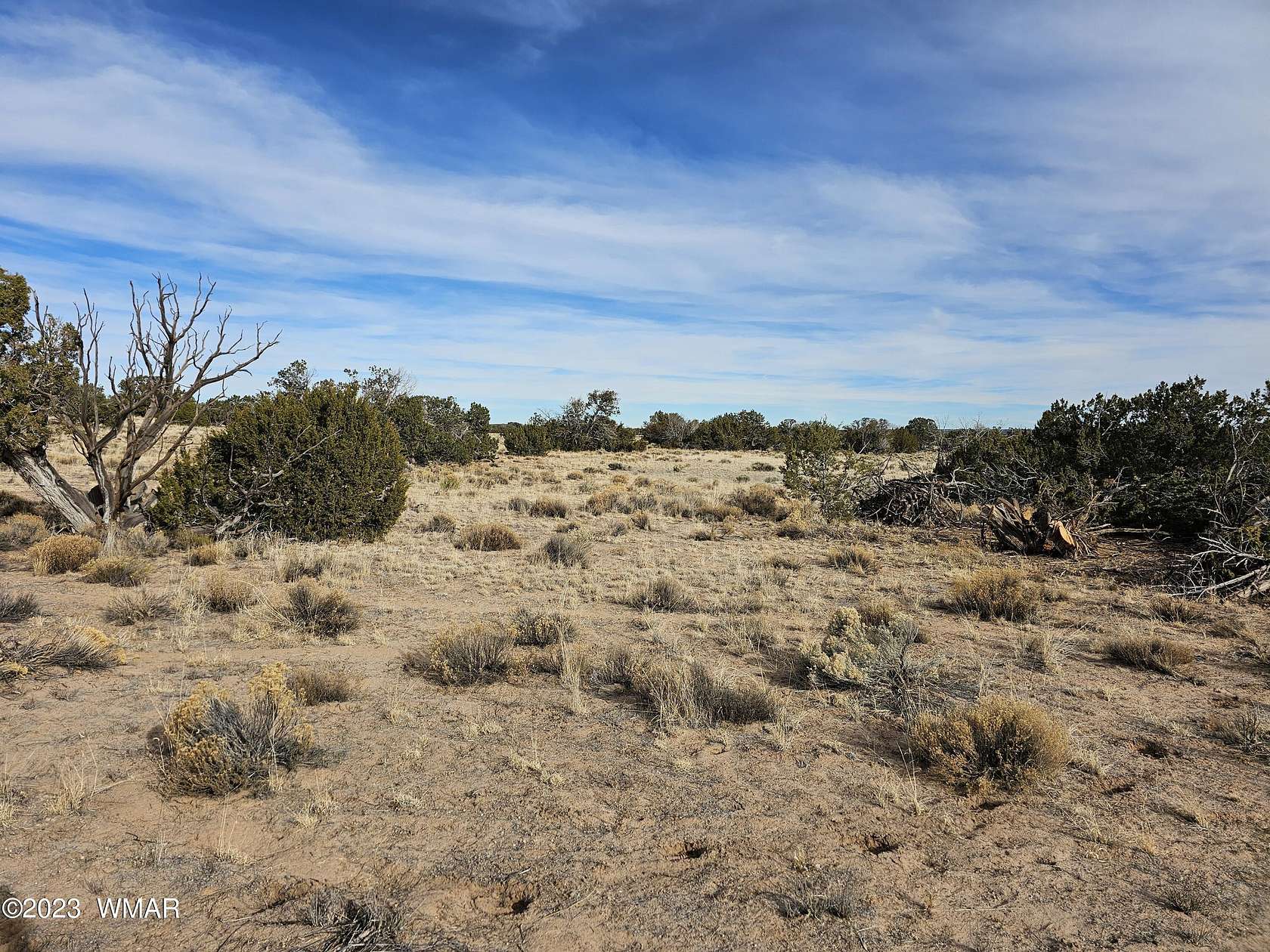 80 Acres of Recreational Land for Sale in St. Johns, Arizona