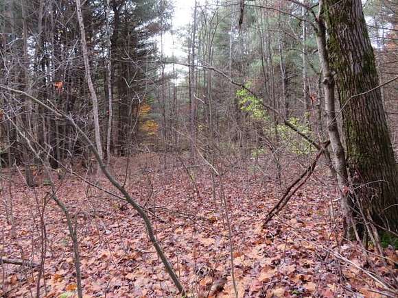17.5 Acres of Recreational Land for Sale in Rossie, New York
