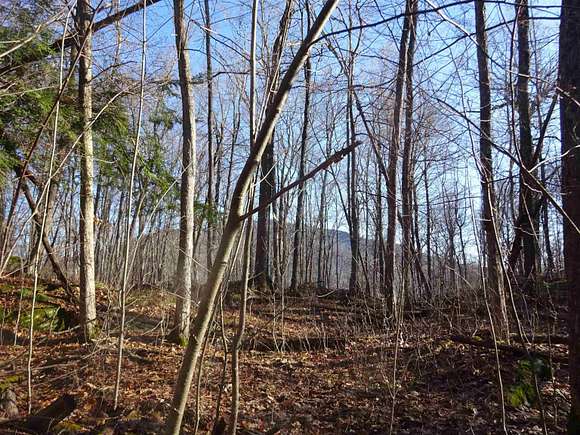 108 Acres of Land for Sale in Weathersfield Town, Vermont