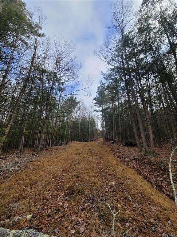 15.4 Acres of Land for Sale in Thompson Town, New York