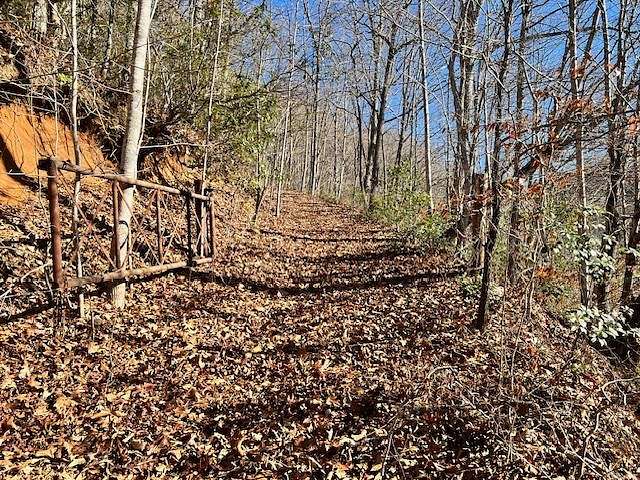4 Acres of Land for Sale in Ellijay Township, North Carolina