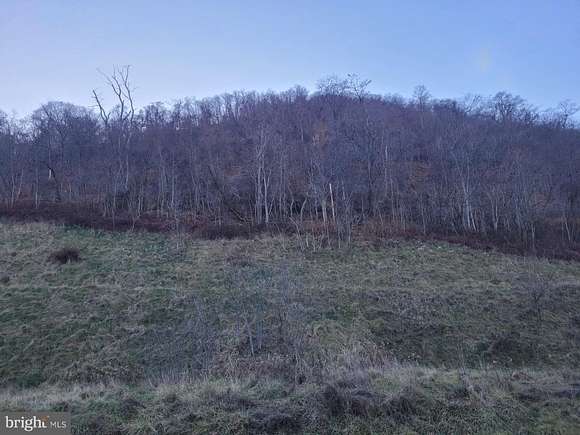 37.2 Acres of Recreational Land for Sale in Keyser, West Virginia
