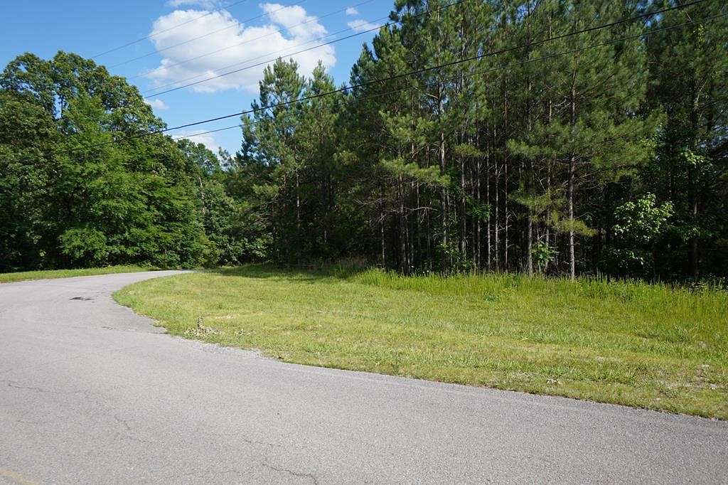 9.24 Acres of Residential Land for Sale in Dover, Tennessee