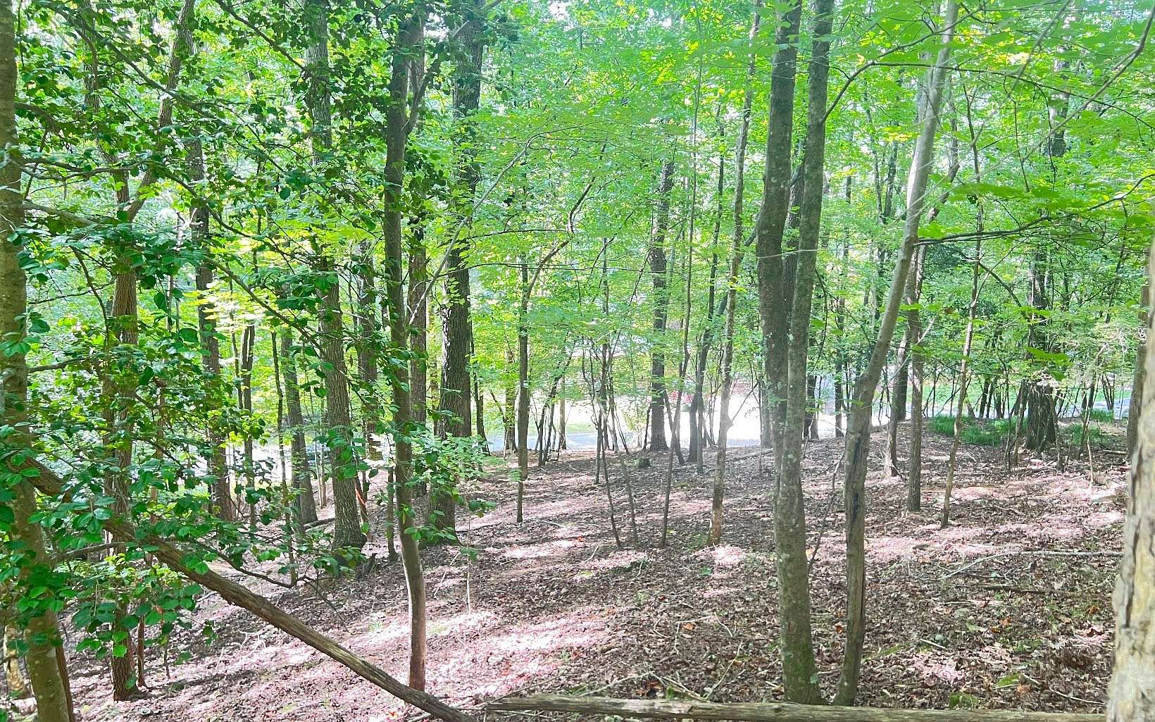 0.6 Acres of Land for Sale in Ellijay, Georgia