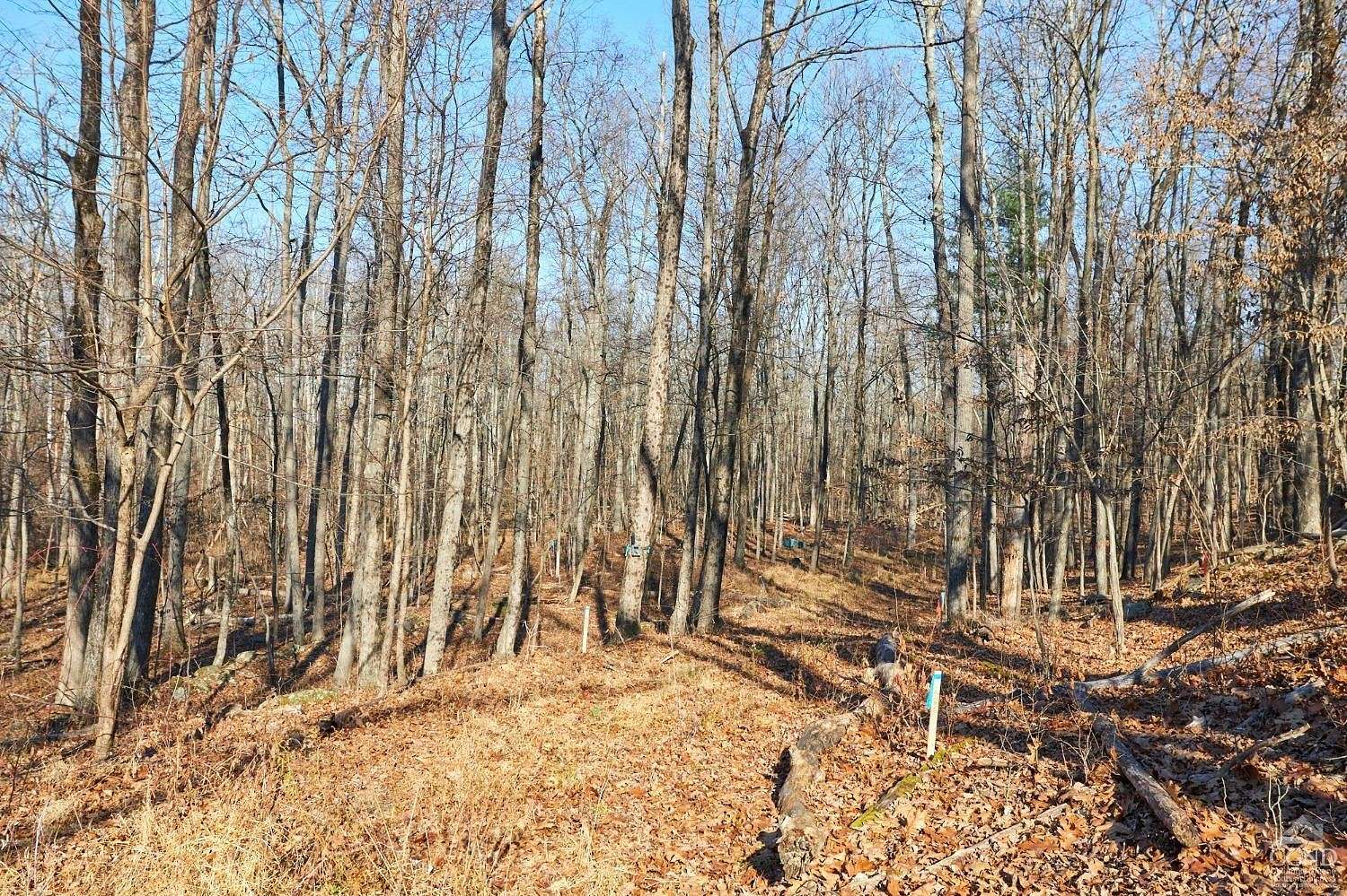 7.95 Acres of Residential Land for Sale in Germantown, New York