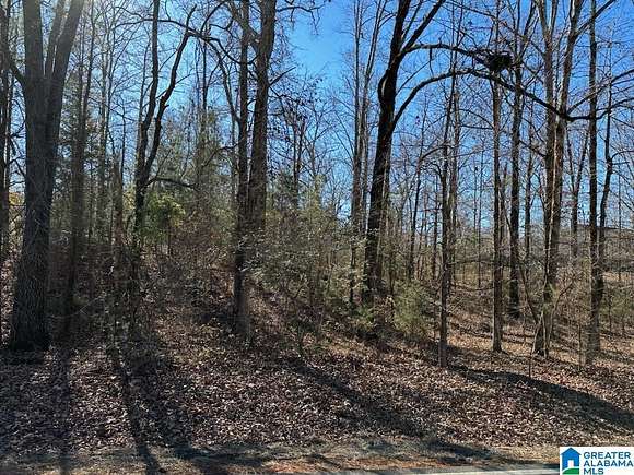 21 Acres of Land for Sale in Morris, Alabama