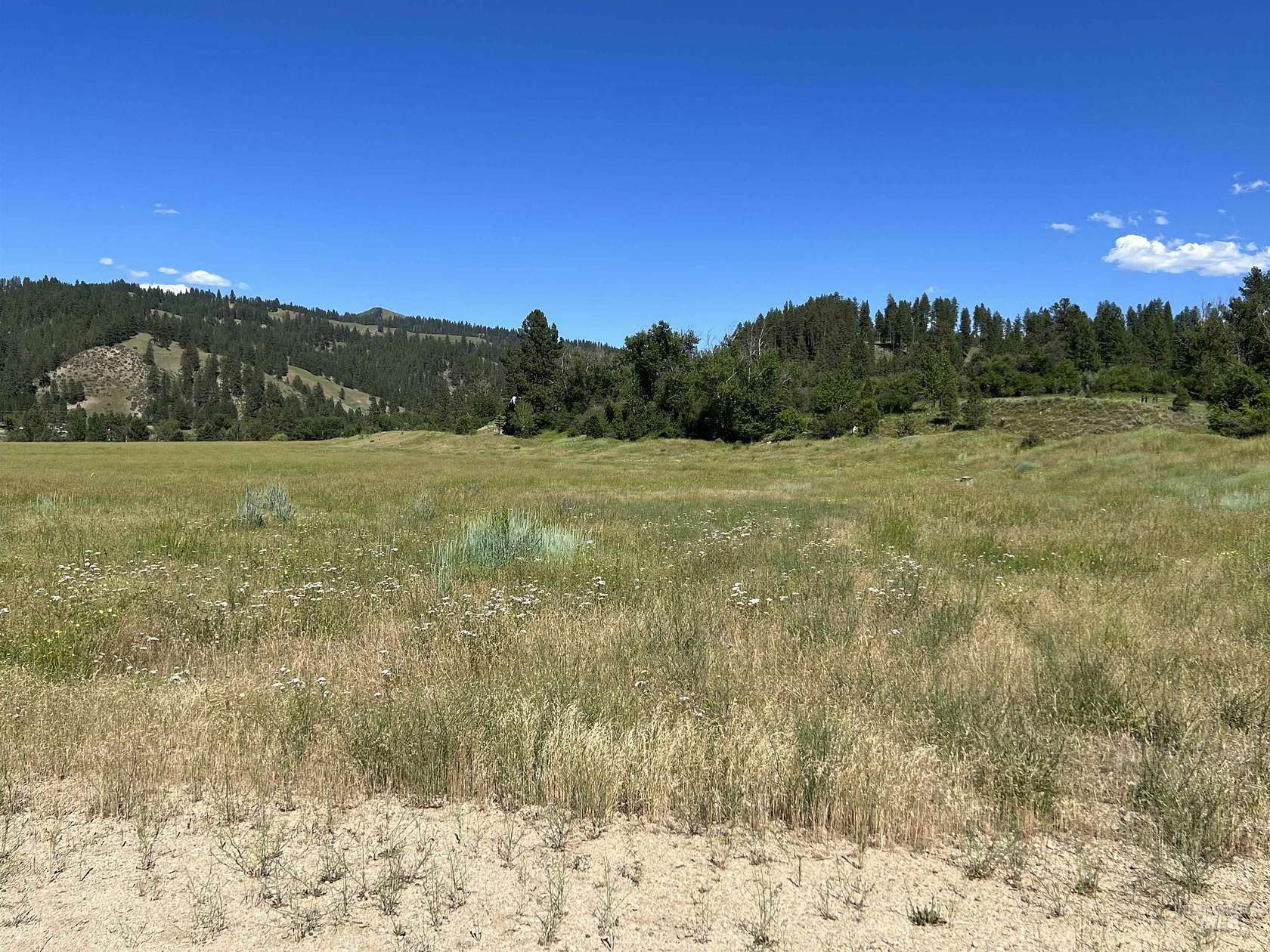 0.27 Acres of Residential Land for Sale in Garden Valley, Idaho