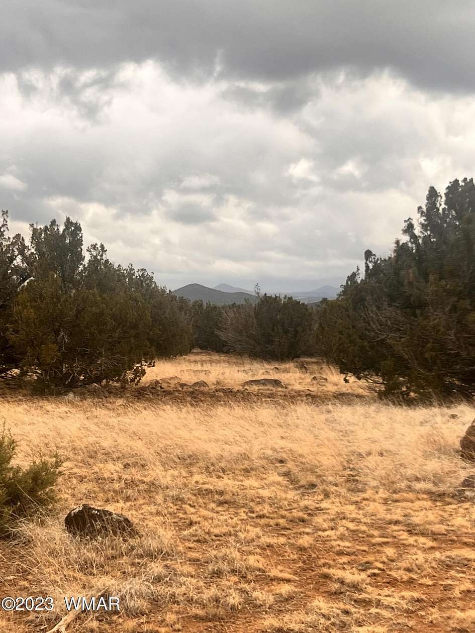10.3 Acres of Land for Sale in Show Low, Arizona