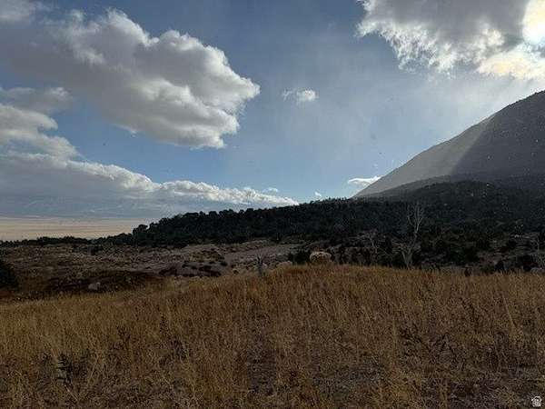 160 Acres of Agricultural Land for Sale in Wales, Utah