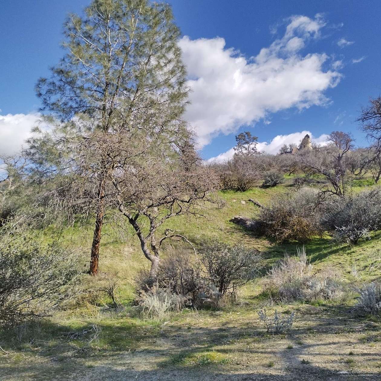 19.3 Acres of Land for Sale in Caliente, California