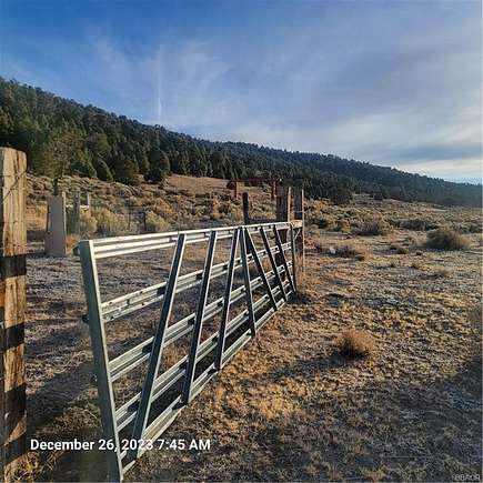 20 Acres of Agricultural Land for Sale in Big Bear City, California