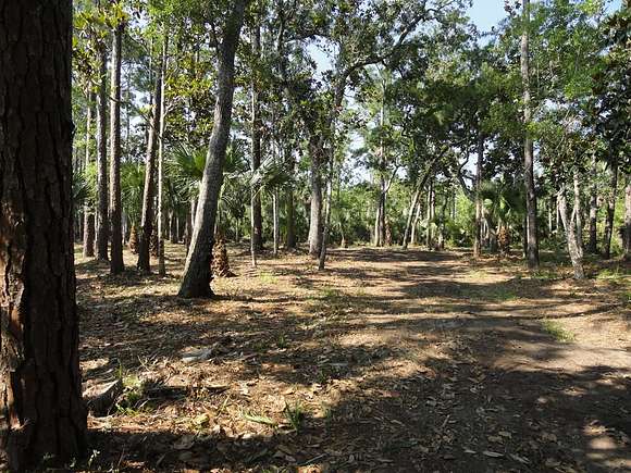 4.3 Acres of Residential Land for Sale in Apalachicola, Florida