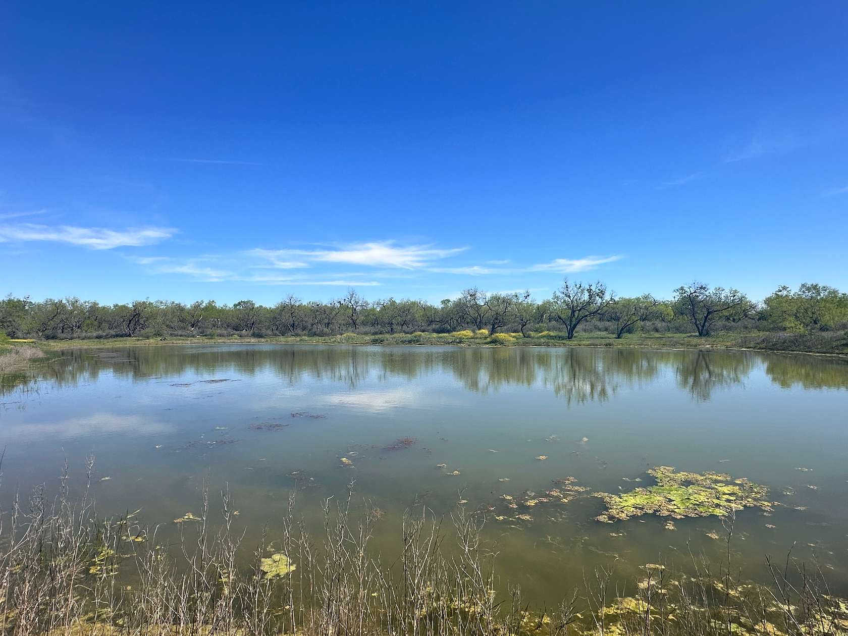 443 Acres of Recreational Land & Farm for Sale in Mullin, Texas