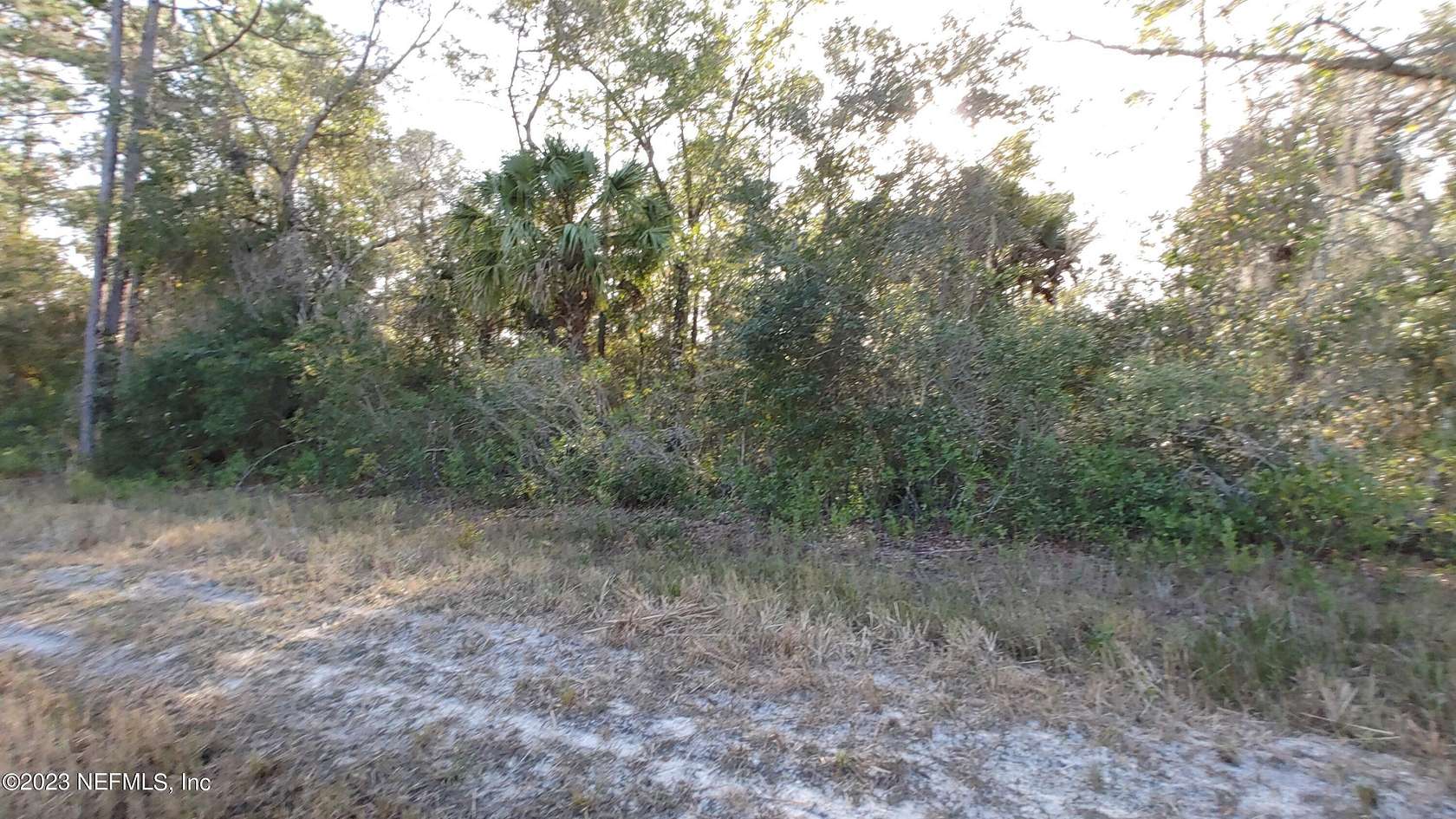 0.23 Acres of Land for Sale in Georgetown, Florida