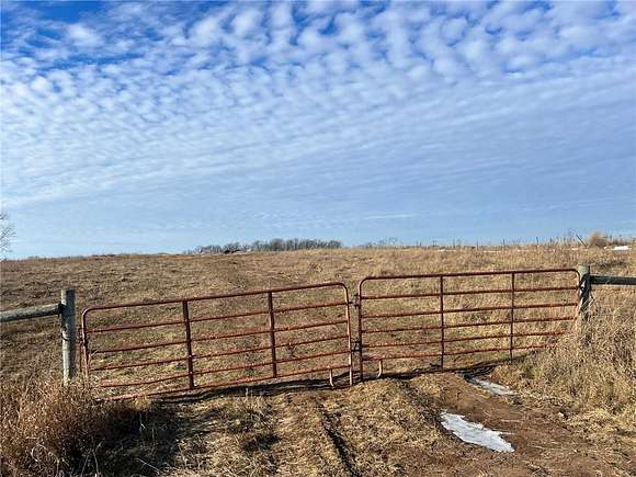 80 Acres of Agricultural Land for Sale in Munch Township, Minnesota