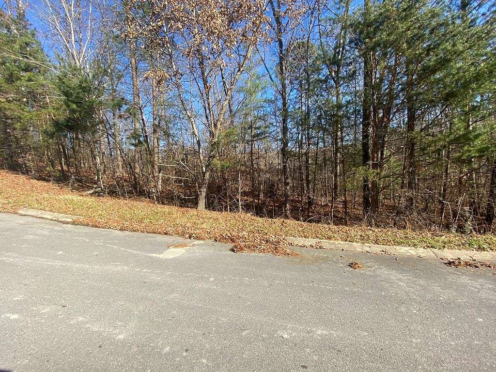 1.1 Acres of Residential Land for Sale in Rocky Face, Georgia