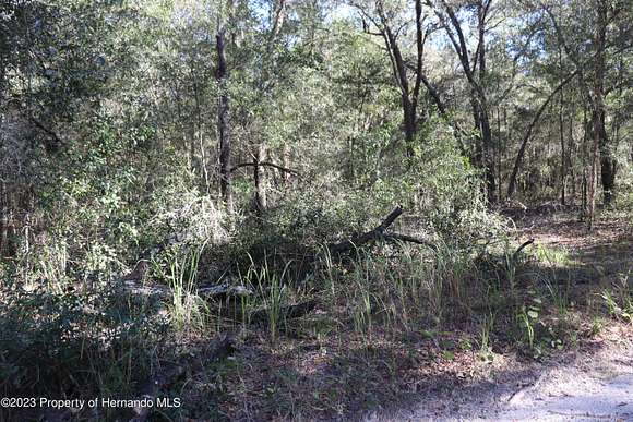 0.31 Acres of Residential Land for Sale in Dunnellon, Florida