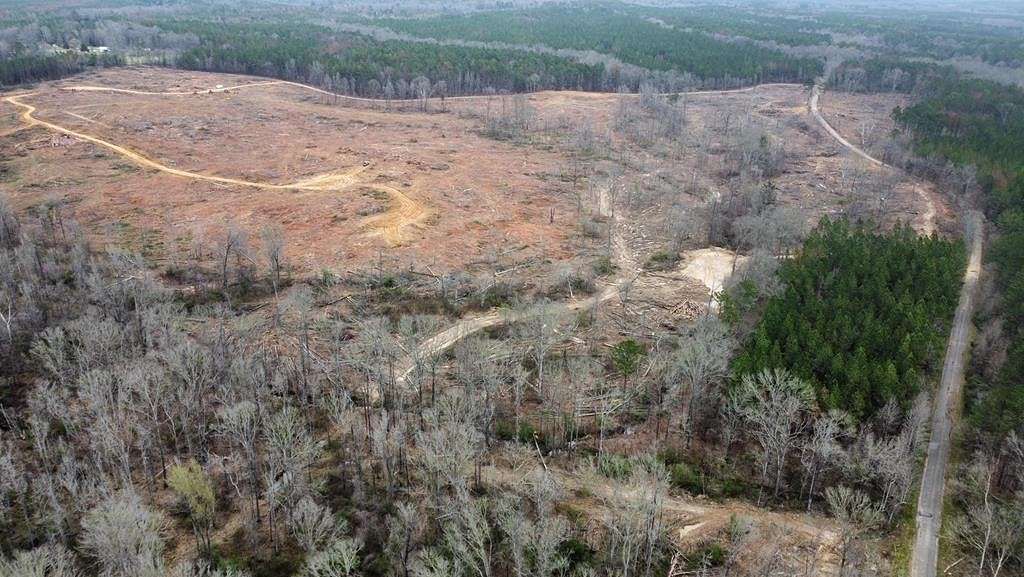 177 Acres of Recreational Land & Farm for Sale in Terry, Mississippi
